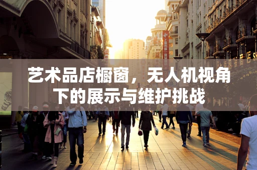 艺术品店橱窗，无人机视角下的展示与维护挑战