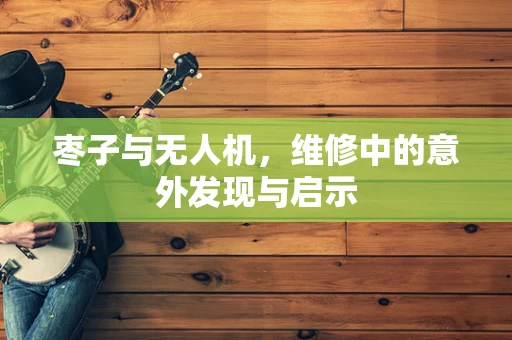枣子与无人机，维修中的意外发现与启示