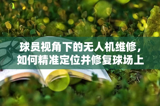 球员视角下的无人机维修，如何精准定位并修复球场上的‘空中哨兵’？