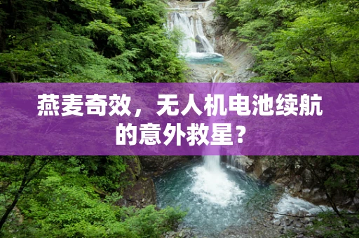 燕麦奇效，无人机电池续航的意外救星？