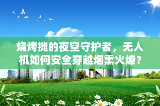 烧烤摊的夜空守护者，无人机如何安全穿越烟熏火燎？