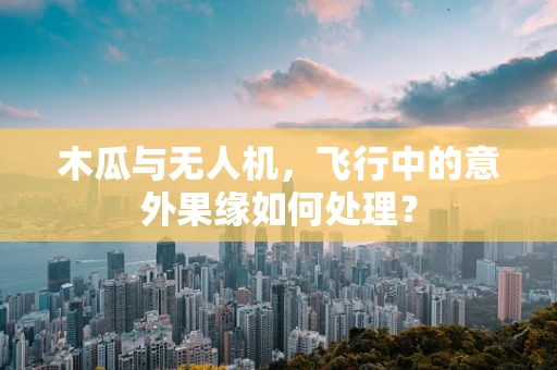木瓜与无人机，飞行中的意外果缘如何处理？