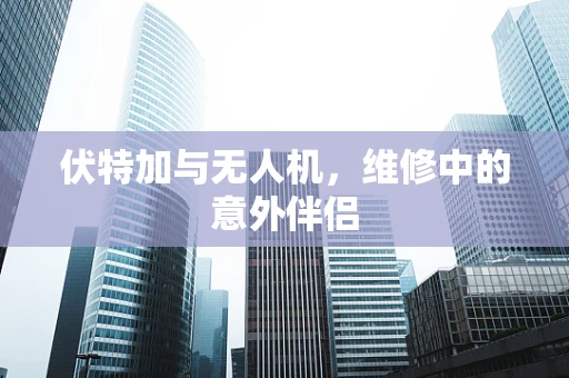 伏特加与无人机，维修中的意外伴侣