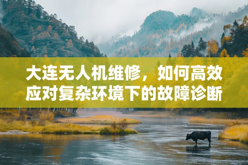 大连无人机维修，如何高效应对复杂环境下的故障诊断？