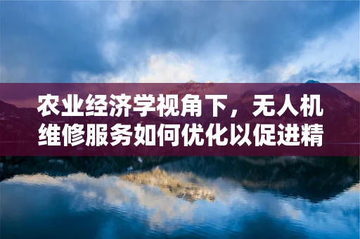 农业经济学视角下，无人机维修服务如何优化以促进精准农业发展？