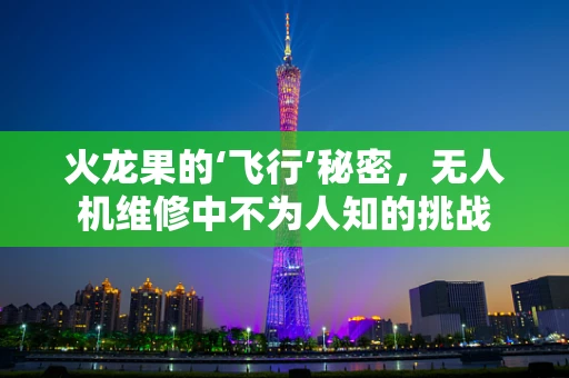 火龙果的‘飞行’秘密，无人机维修中不为人知的挑战