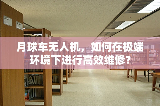 月球车无人机，如何在极端环境下进行高效维修？