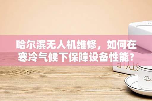 哈尔滨无人机维修，如何在寒冷气候下保障设备性能？