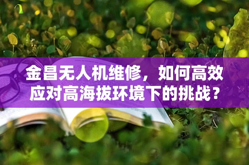金昌无人机维修，如何高效应对高海拔环境下的挑战？