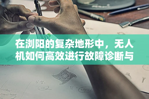 在浏阳的复杂地形中，无人机如何高效进行故障诊断与维修？