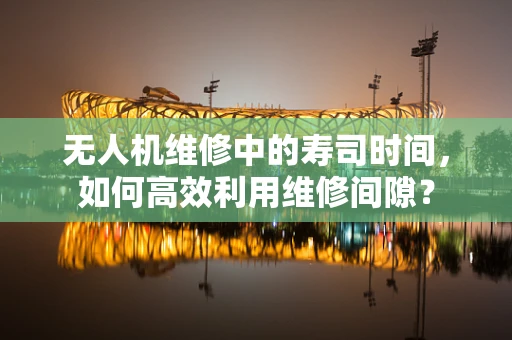 无人机维修中的寿司时间，如何高效利用维修间隙？
