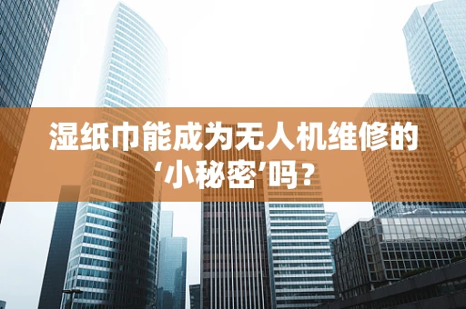 湿纸巾能成为无人机维修的‘小秘密’吗？