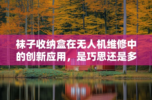 袜子收纳盒在无人机维修中的创新应用，是巧思还是多余？