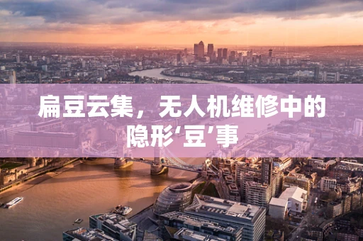 扁豆云集，无人机维修中的隐形‘豆’事