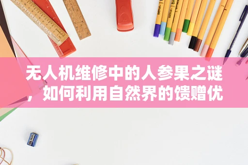 无人机维修中的人参果之谜，如何利用自然界的馈赠优化电池续航？