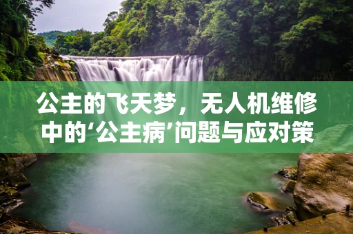 公主的飞天梦，无人机维修中的‘公主病’问题与应对策略