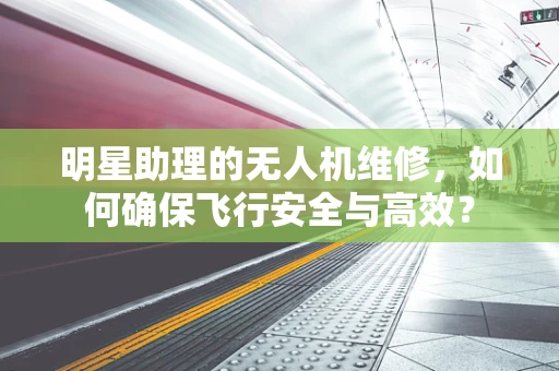 明星助理的无人机维修，如何确保飞行安全与高效？