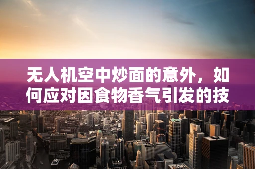 无人机空中炒面的意外，如何应对因食物香气引发的技术故障？