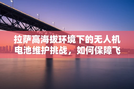 拉萨高海拔环境下的无人机电池维护挑战，如何保障飞行稳定性？