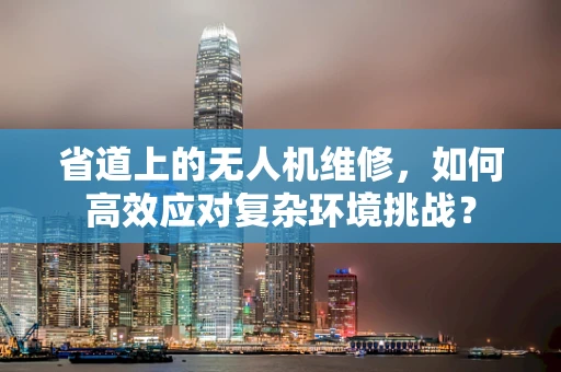 省道上的无人机维修，如何高效应对复杂环境挑战？
