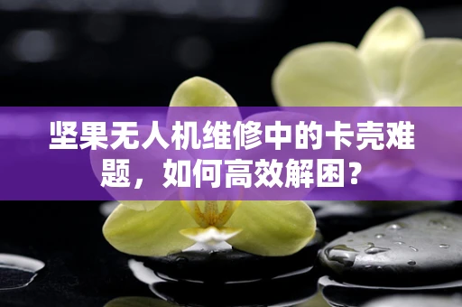 坚果无人机维修中的卡壳难题，如何高效解困？