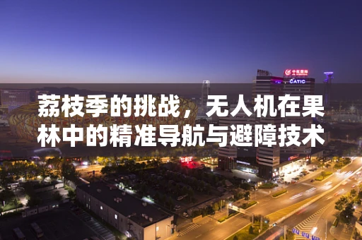 荔枝季的挑战，无人机在果林中的精准导航与避障技术