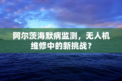 阿尔茨海默病监测，无人机维修中的新挑战？
