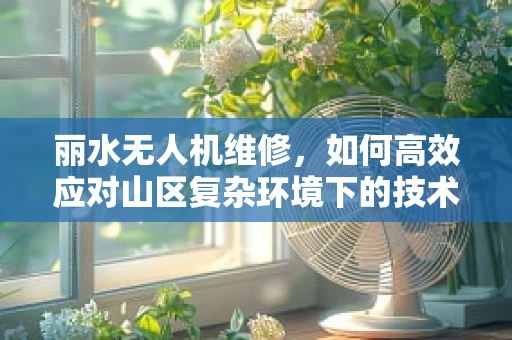丽水无人机维修，如何高效应对山区复杂环境下的技术挑战？