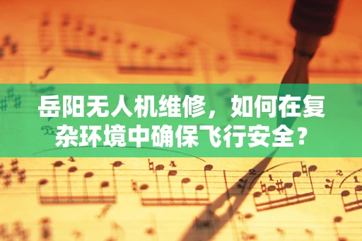 岳阳无人机维修，如何在复杂环境中确保飞行安全？