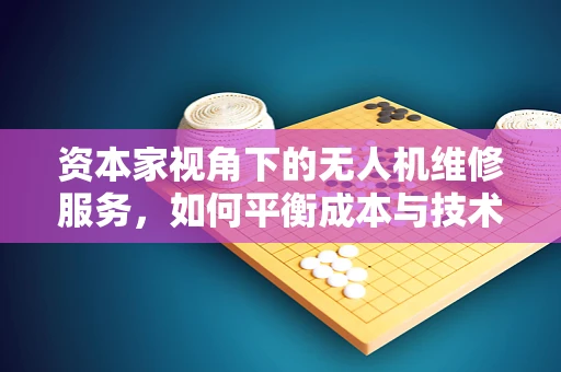 资本家视角下的无人机维修服务，如何平衡成本与技术创新？