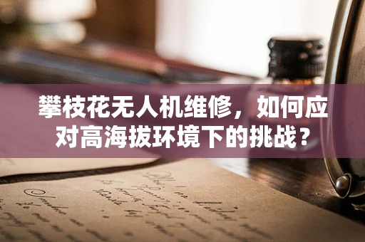 攀枝花无人机维修，如何应对高海拔环境下的挑战？
