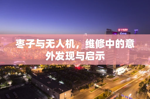 枣子与无人机，维修中的意外发现与启示