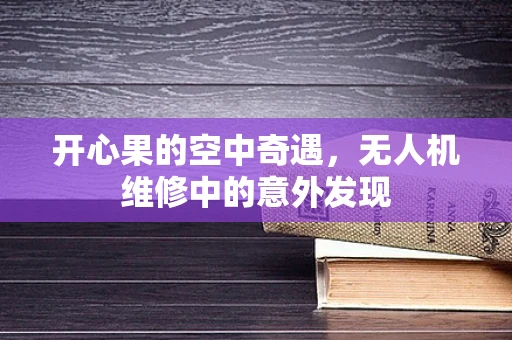 开心果的空中奇遇，无人机维修中的意外发现