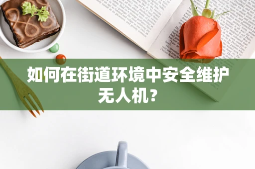 如何在街道环境中安全维护无人机？