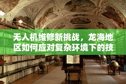 无人机维修新挑战，龙海地区如何应对复杂环境下的技术难题？