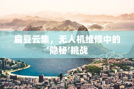 扁豆云集，无人机维修中的‘隐秘’挑战
