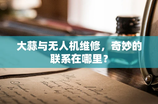 大蒜与无人机维修，奇妙的联系在哪里？