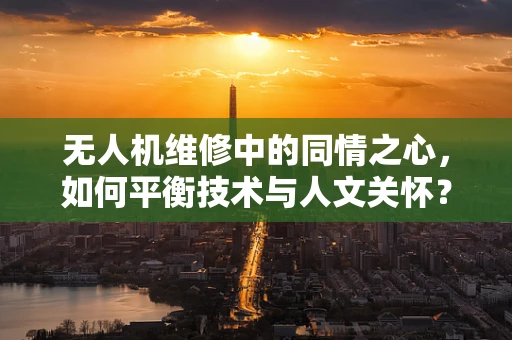 无人机维修中的同情之心，如何平衡技术与人文关怀？