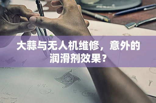 大蒜与无人机维修，意外的润滑剂效果？