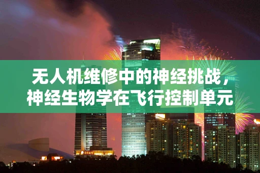 无人机维修中的神经挑战，神经生物学在飞行控制单元故障诊断中的应用
