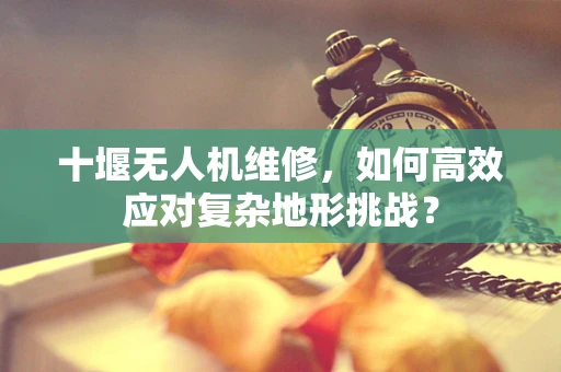十堰无人机维修，如何高效应对复杂地形挑战？