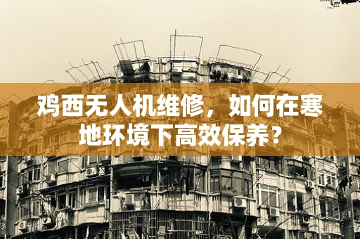 鸡西无人机维修，如何在寒地环境下高效保养？