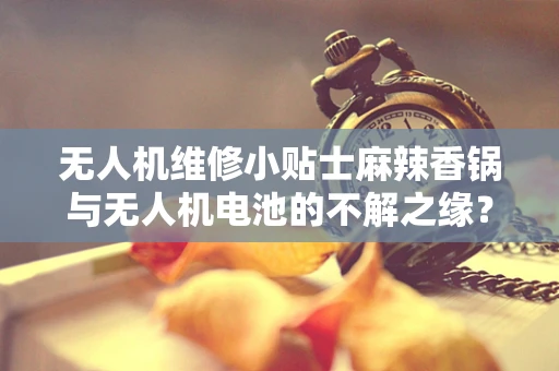 无人机维修小贴士麻辣香锅与无人机电池的不解之缘？
