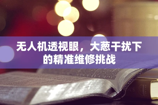 无人机透视眼，大葱干扰下的精准维修挑战