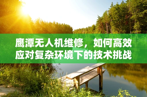 鹰潭无人机维修，如何高效应对复杂环境下的技术挑战？
