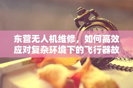 东营无人机维修，如何高效应对复杂环境下的飞行器故障？