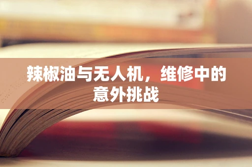 辣椒油与无人机，维修中的意外挑战
