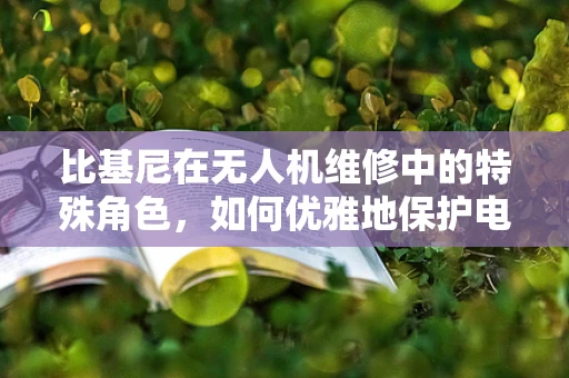 比基尼在无人机维修中的特殊角色，如何优雅地保护电子元件？