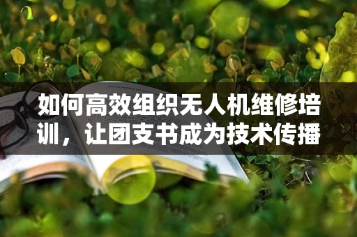 如何高效组织无人机维修培训，让团支书成为技术传播的‘领航员’？
