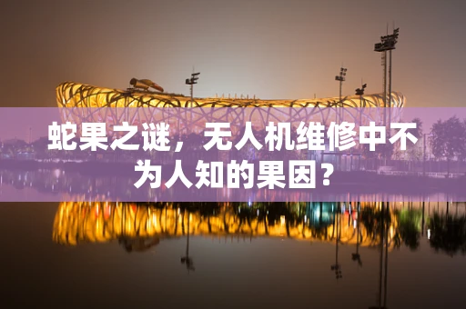 蛇果之谜，无人机维修中不为人知的果因？